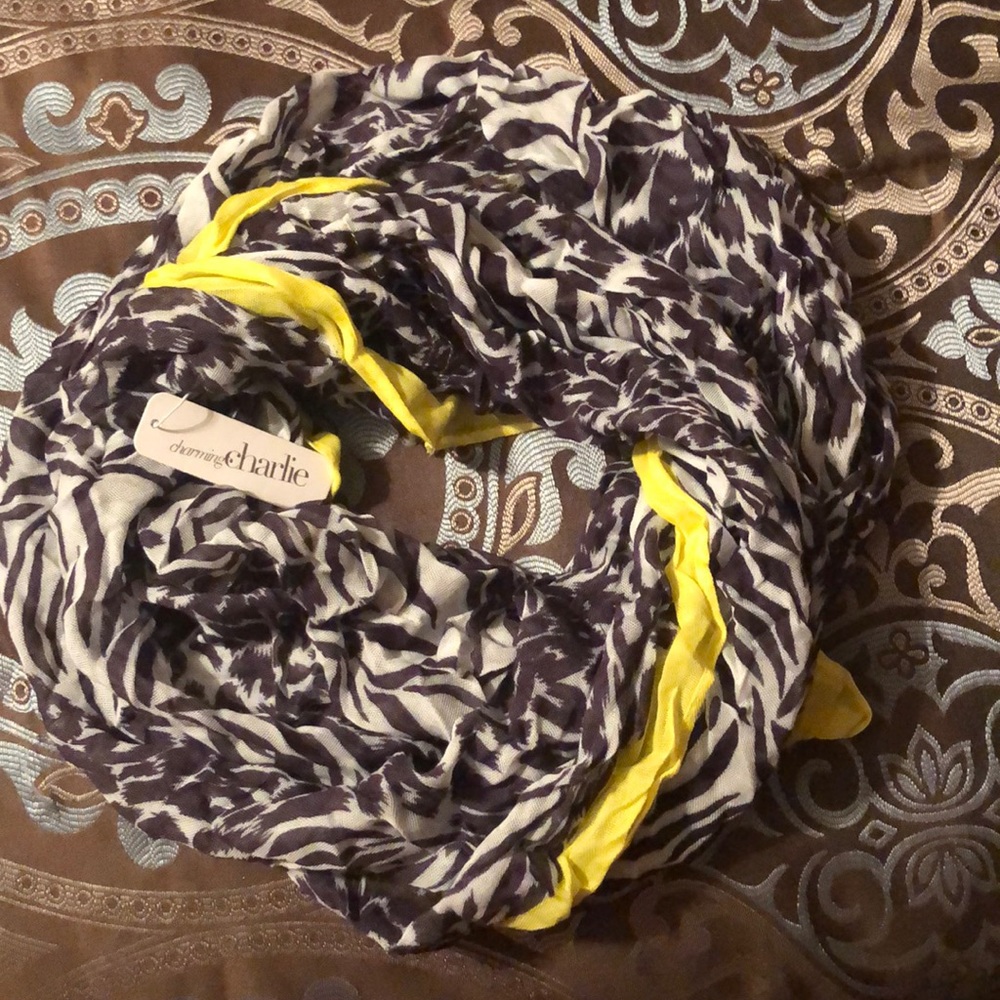 Charming Charlie Scarf